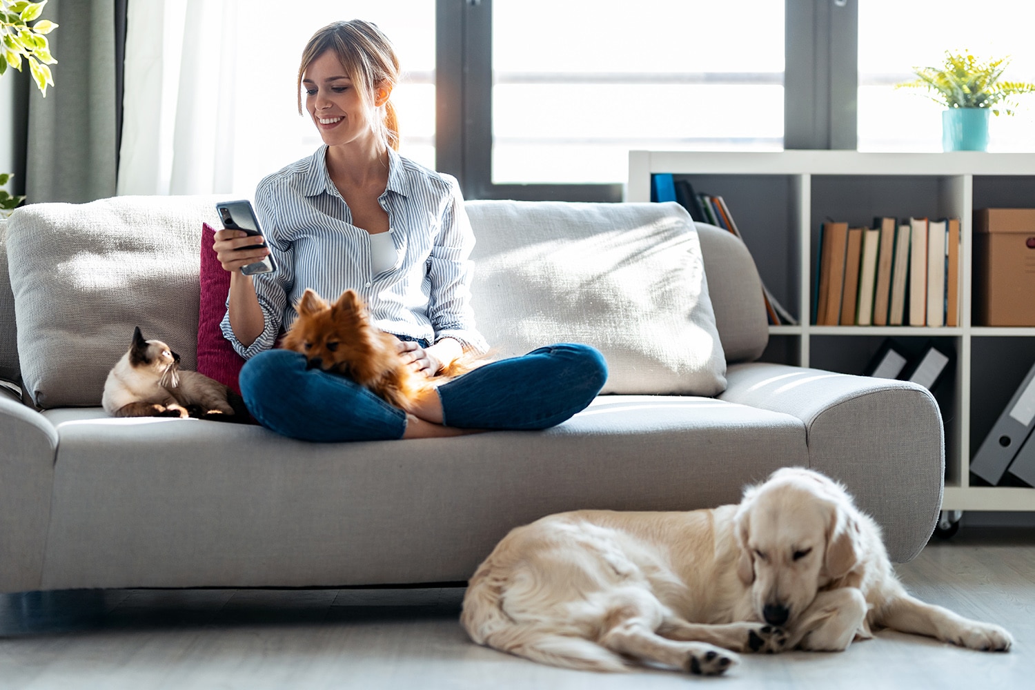 Person sitting on couch, smiling and surrounded by pets, while using patient self-scheduling software to book a doctor's appointment.