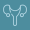 OB_GYN profile picture
